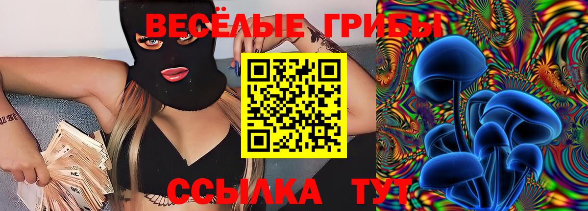 Псилоцибиновые грибы Psilocybe Южно-Сахалинск